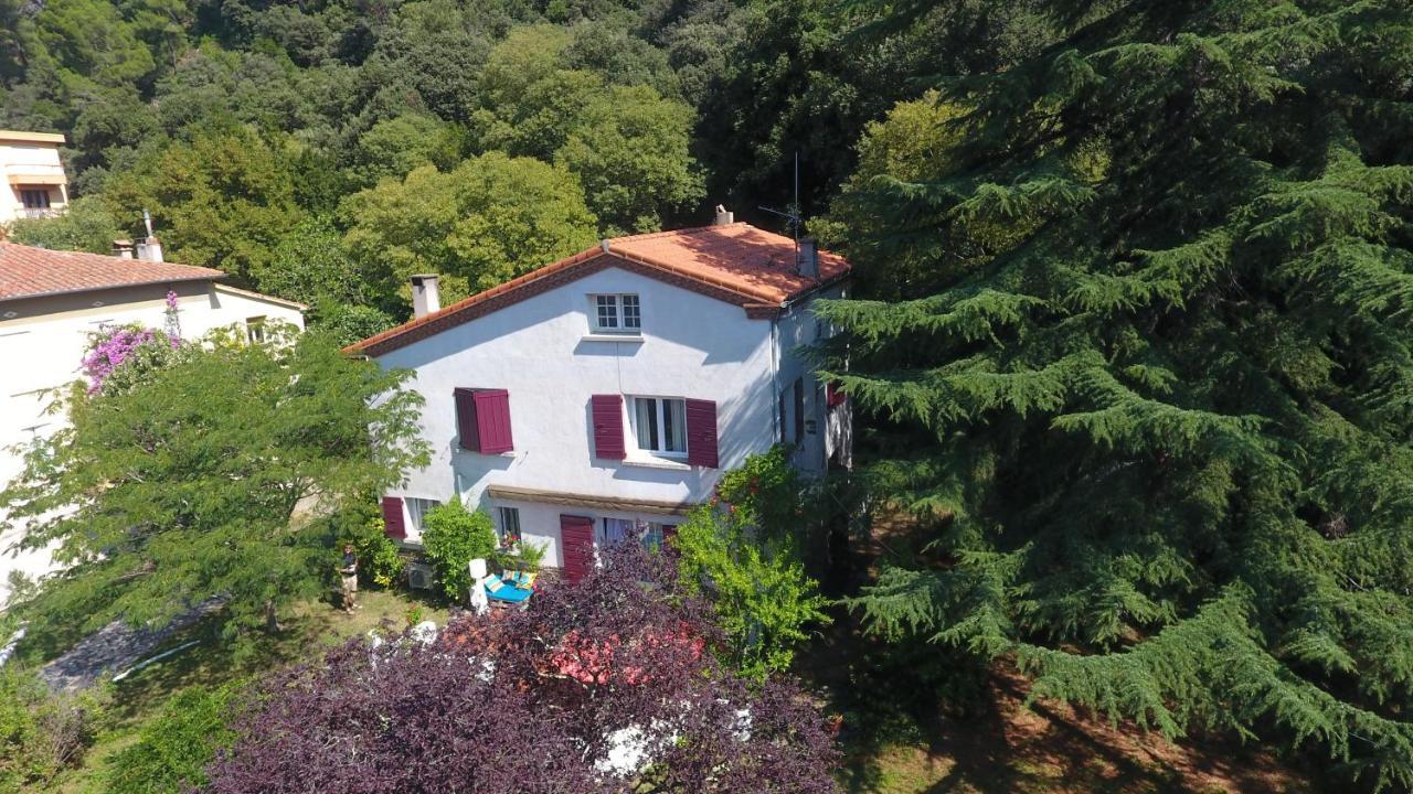 Villa Riviera Chambres Privees Амели-ле-Бен-Палальда Экстерьер фото
